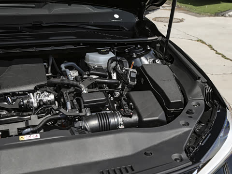 2026�� ˫�� 2.0L ��ѡ��