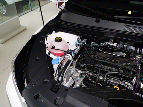 2025�� ��ԽL 1.5TD DCT ��Խ