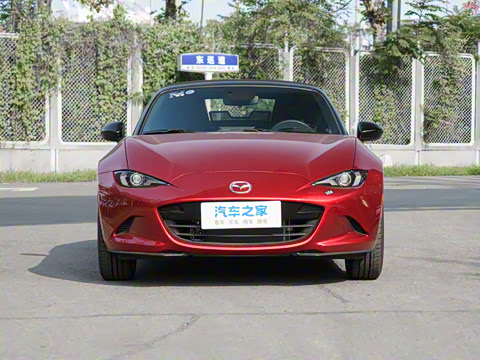 2025�� �ֶ��������� ī�����