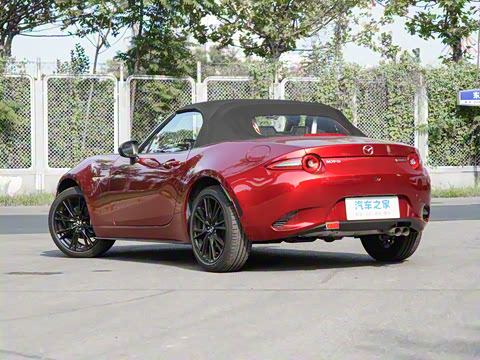 2025�� �ֶ��������� ī�����