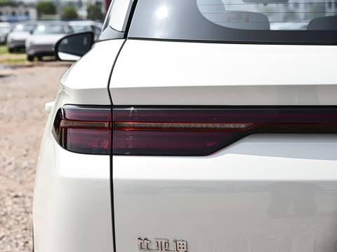 2026�� DM-i 220KM��Խ��