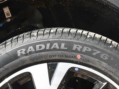 2026�� DM-i 220KM��Խ��