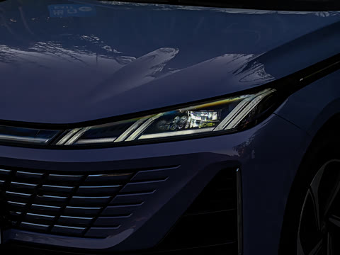 2026�� 1.5L �������� ������