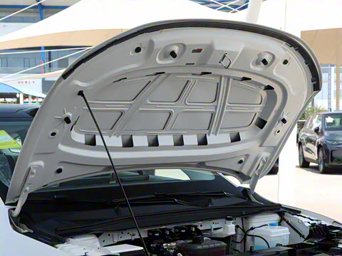 2025�� 650�����״��