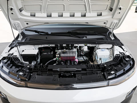 2025�� 650�����״��