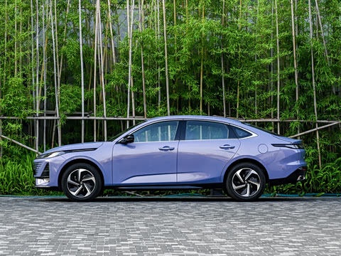 2026�� 1.5L �������� ������