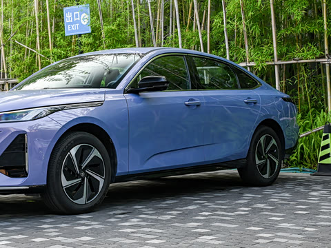 2026�� 1.5L �������� ������