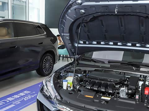 2025�� 1.5L �Զ������