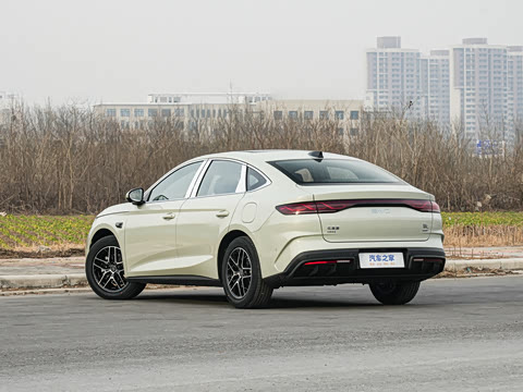 2026�� DM-i 210KM��Խ��