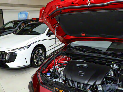 2025�� 2.0L �Զ����Ű�