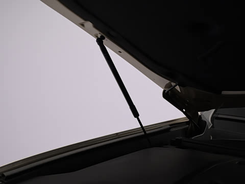 2026�� �����