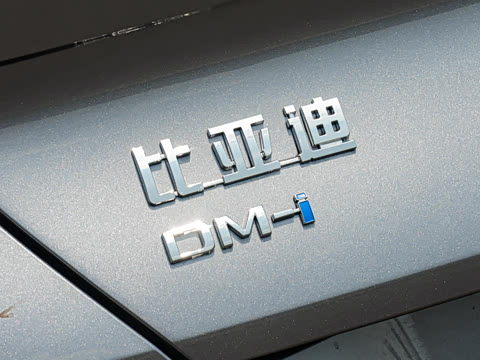 2026�� DM-i 175kW�캽Pro��