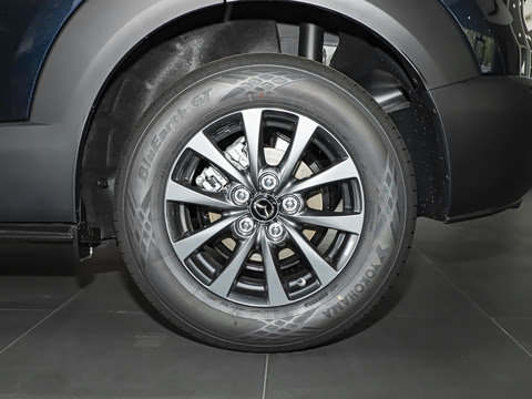 2025�� 2.0L �ֶ�������