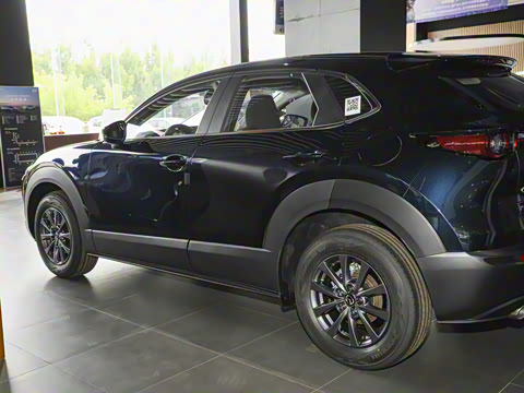 2025�� 2.0L �ֶ�������