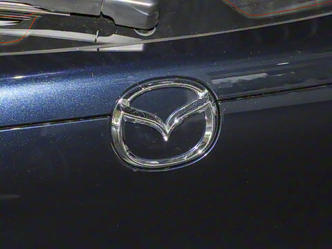 2025�� 2.0L �ֶ�������