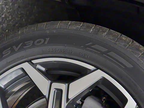 2026�� 121km ���ʰ� 5��