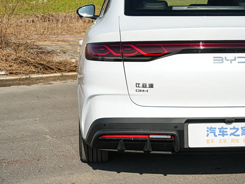 2026�� DM-i 170KM��Խ��