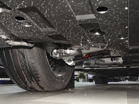 2025�� Elite�����