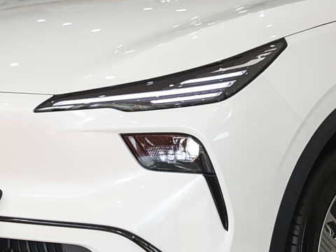 2025�� 565km �����