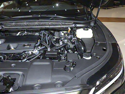 2025�� 350h ����������