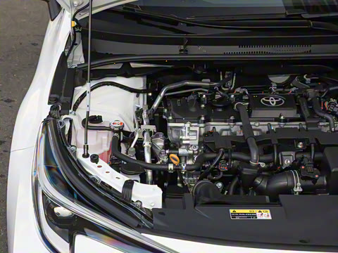 2026�� ����L ���ܵ��˫�� 1.8L ������