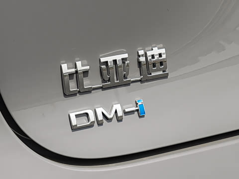 2026�� DM-i 305�캽��