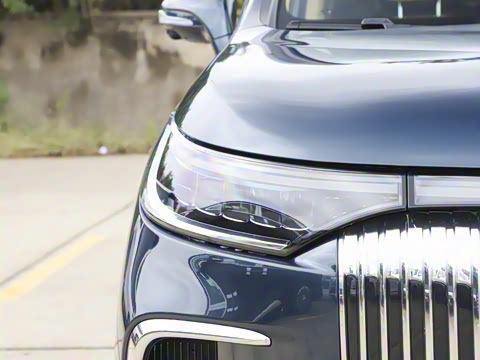 2026�� EV Ǭ��Max