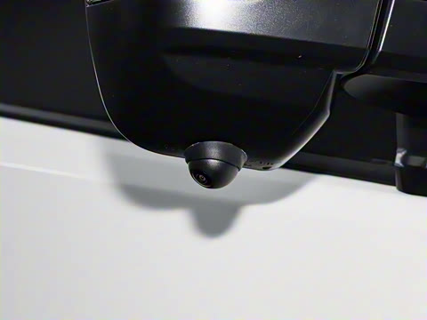 2025�� 9����ʨ ������