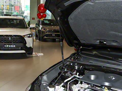 2024�� 2.0L ��ȡ��