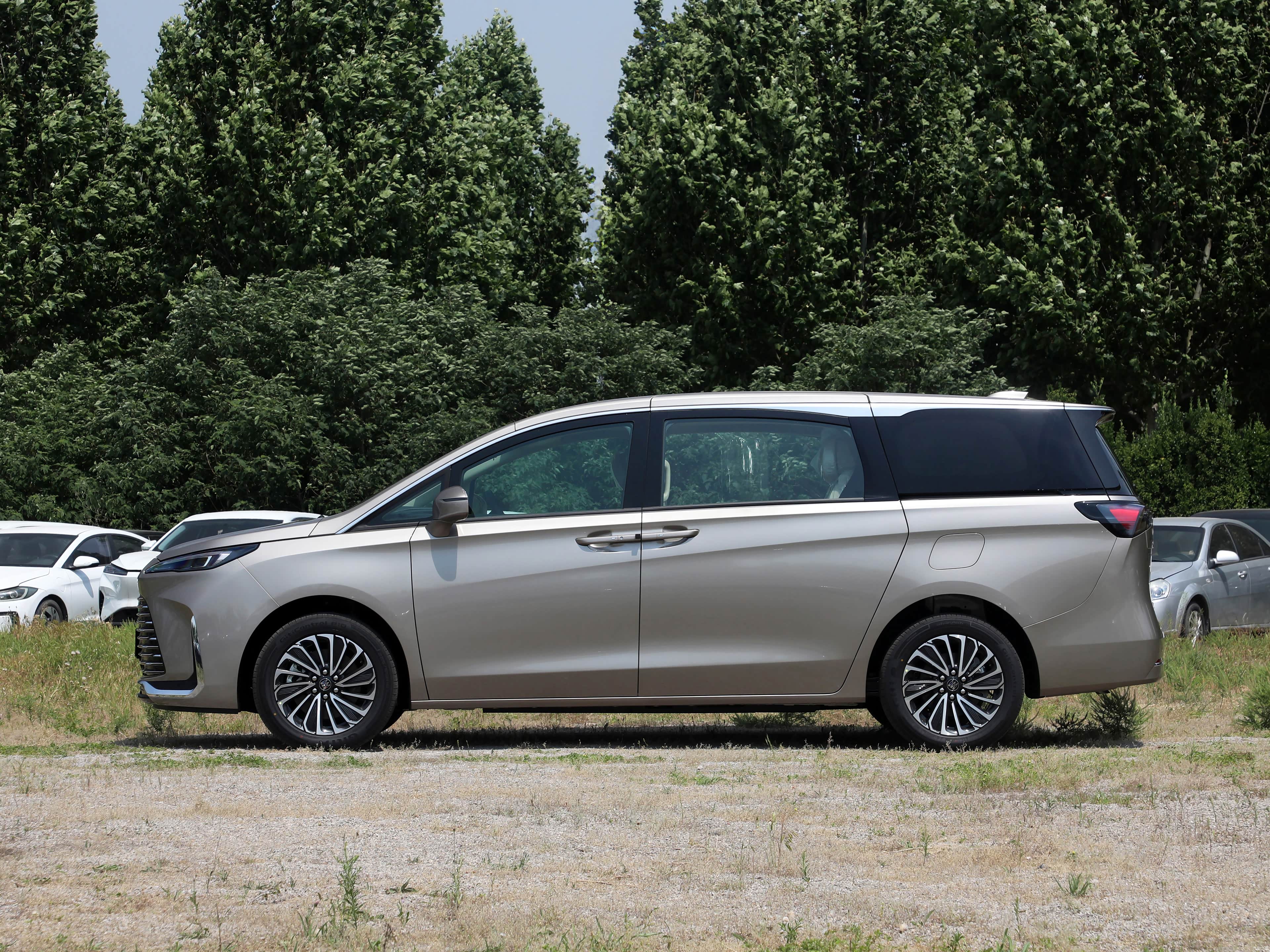 Buick GL8, миниатюра 4