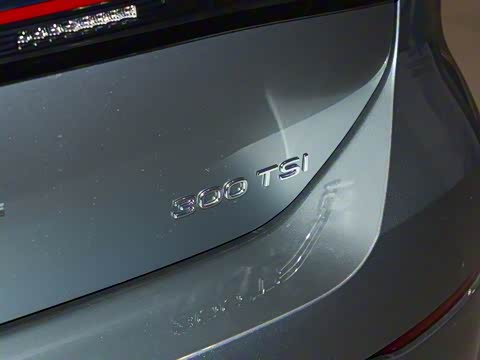 2026�� L 300TSI DSG ��Ӣ��