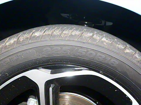 2025�� �Ǽݰ� 505���˰�