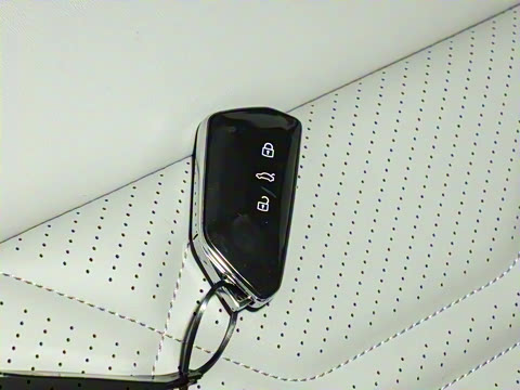 2025�� ̽��L 300TSI ������Ӣ