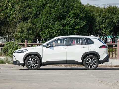 2026�� 2.0L ���ܵ��˫�� ������