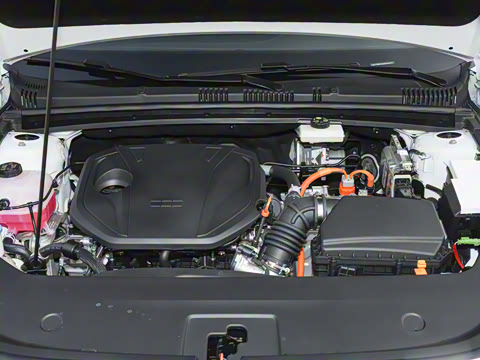 2026�� 60km̽����