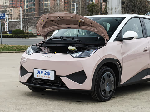 2025�� �Ǽݰ� 305km ������