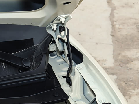 2026�� ����� 301km ������