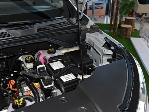 2025�� �Ŀ� �캽��