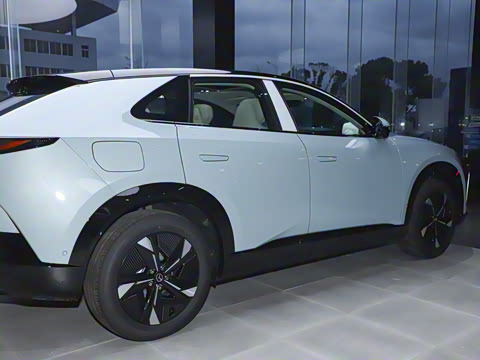 2025�� ����600 Pro