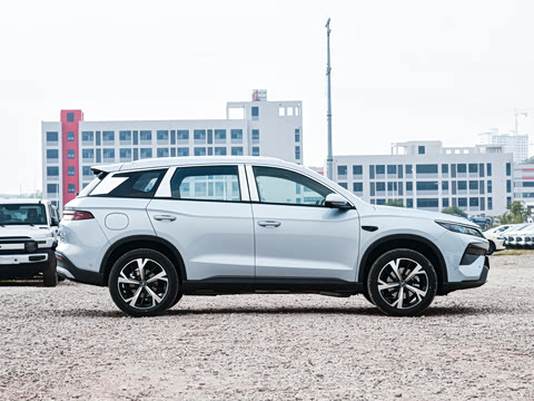 2026�� DM-i 220KM��Խ��