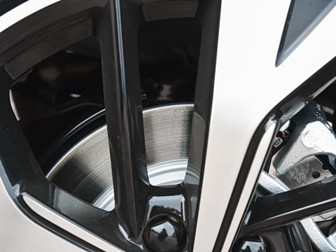 2026�� DM-i 220KM��Խ��