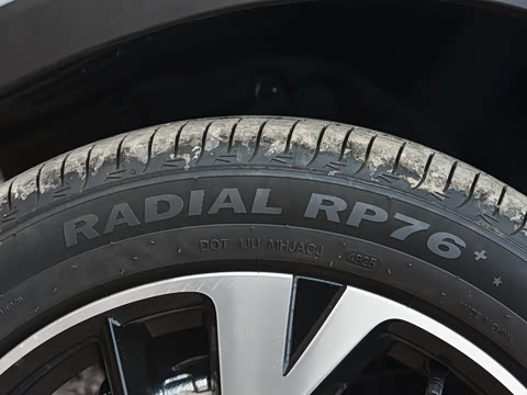 2026�� DM-i 220KM��Խ��