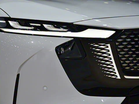 2026�� ����200 Max�˶���