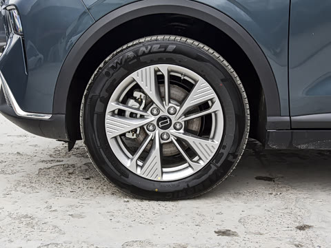 2025�� 445km ���ð�