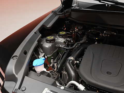 2026�� 255km ������