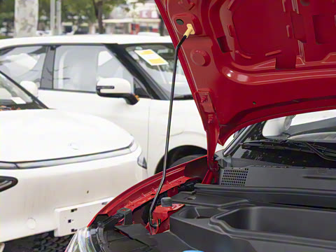 2026�� ���Ŀ� 330Plus