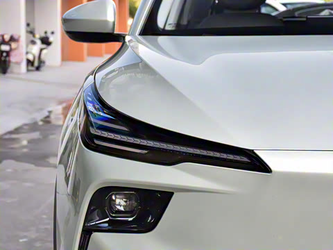 2025�� 565km ������