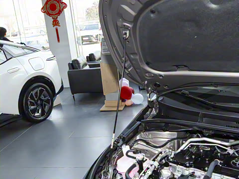 2026�� 1.8L ˫�� �ȷ��