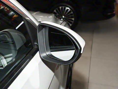 2026�� 300TSI DSG���������