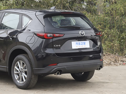 2025�� 2.0L �Զ�����������